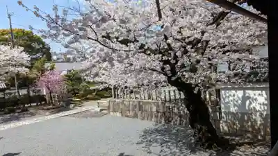 妙顯寺（妙顕寺）のその他建物