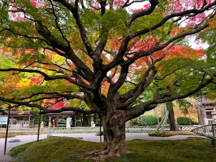 千如寺大悲王院(福岡県)