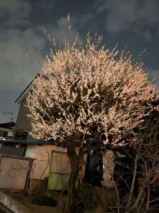 成願寺(東京都)