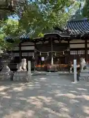 式内楯原神社(大阪府)