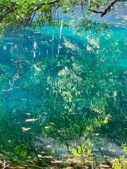 丸池神社(山形県)
