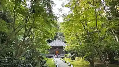 円通院(宮城県)