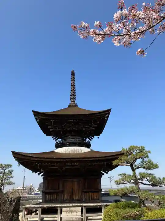 大樹寺(松安院大樹寺)のその他建物