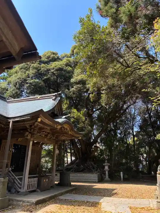 諏訪神社(千葉県)