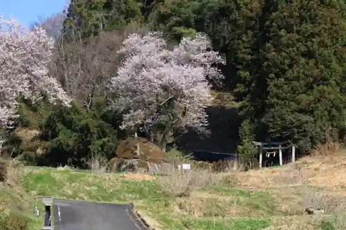 赤岩稲荷神社の景色