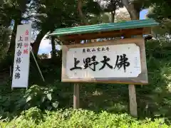 上野大佛(東京都)