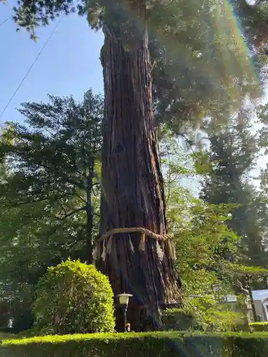 香取神宮(千葉県)