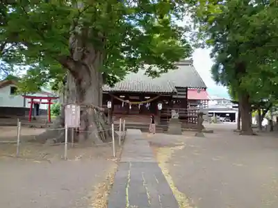 白鳥神社の本殿・本堂