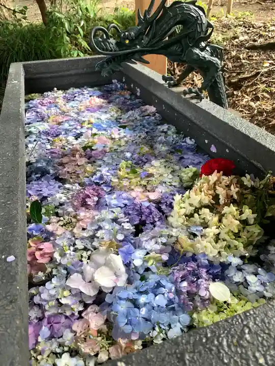 下野 星宮神社の手水舎