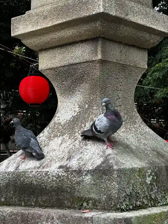 鶴峯山稲荷社(平塚八幡宮境内社)(神奈川県)