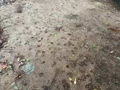 武社早尾神社の自然