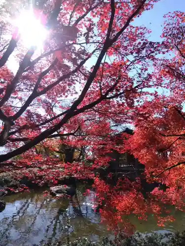西山金刀羅宮(福井県)
