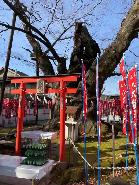 秩父今宮神社(埼玉県)