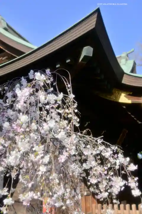 鳩ヶ谷氷川神社(埼玉県)