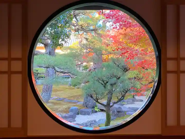 妙顯寺(妙顕寺)の庭園