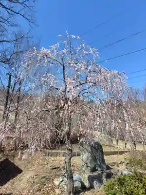 不動寺(埼玉県)
