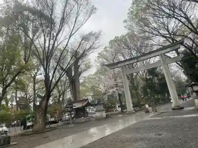 大國魂神社(東京都)