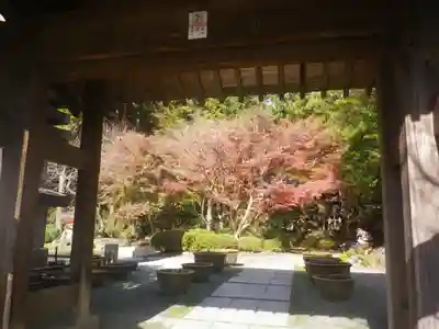覚園寺の山門・神門