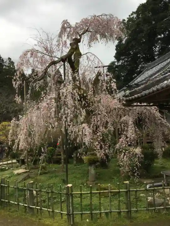 大野寺(奈良県)
