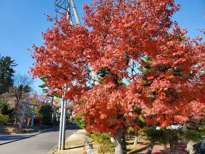 開成山大神宮の自然