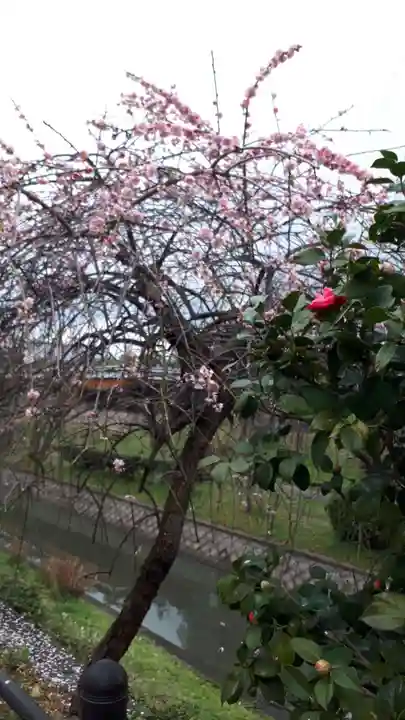 長建寺(京都府)