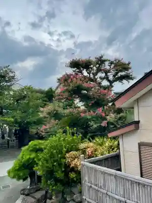 延台寺(神奈川県)