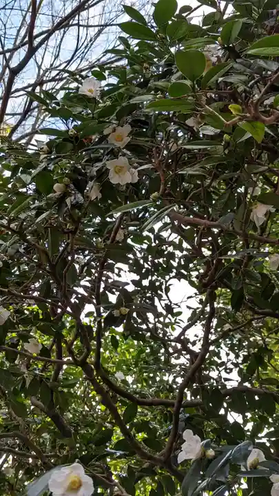 龍安寺(京都府)