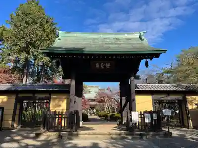 豪徳寺の山門・神門