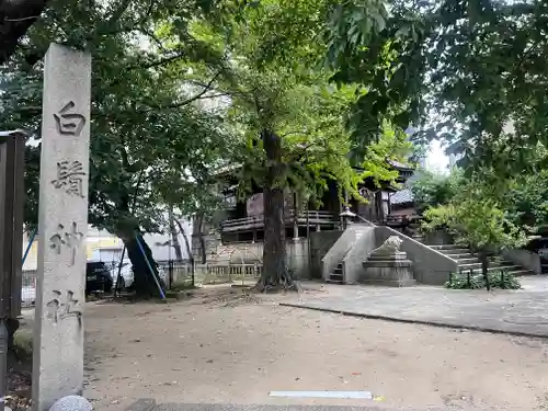 白鬚神社(石川県)