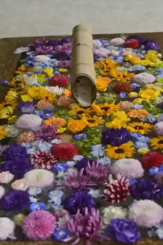 鶴岡八幡宮(神奈川県)