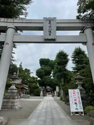 亀ケ池八幡宮の鳥居