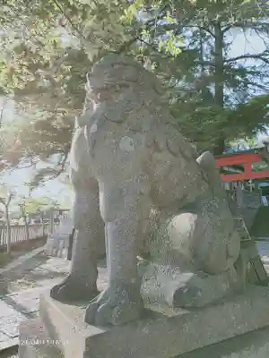 玉前神社の狛犬