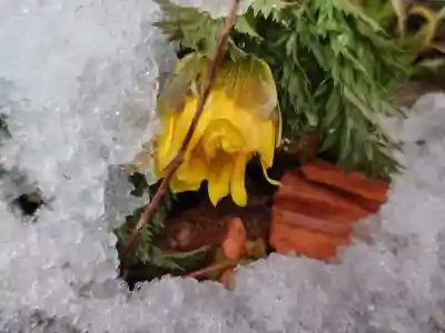 阿邪訶根神社(福島県)