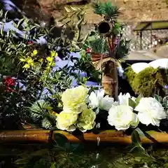 陽林寺の手水