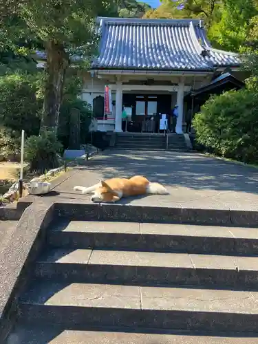 願成就院の動物