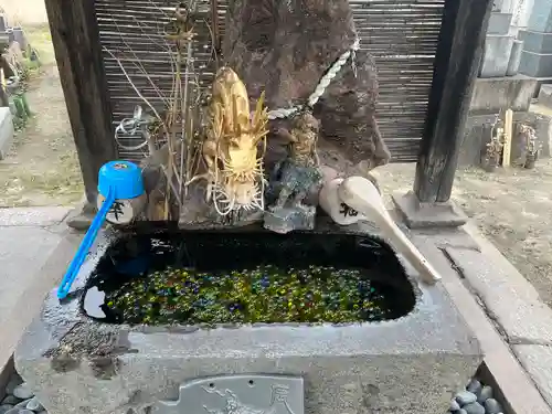 四季桜の寺 妙乗院(愛知県)