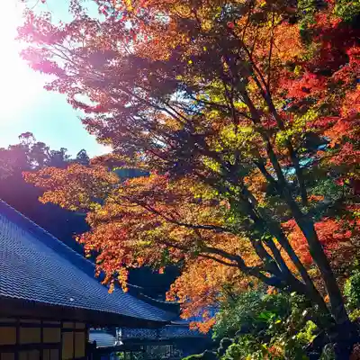 方廣寺(静岡県)