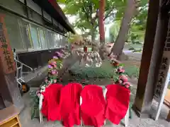 札幌護國神社の七五三参