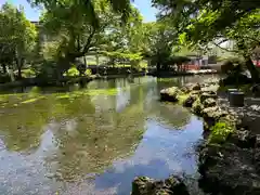 富士山本宮浅間大社(静岡県)