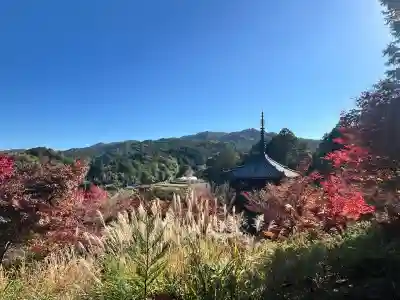 常樂寺(滋賀県)