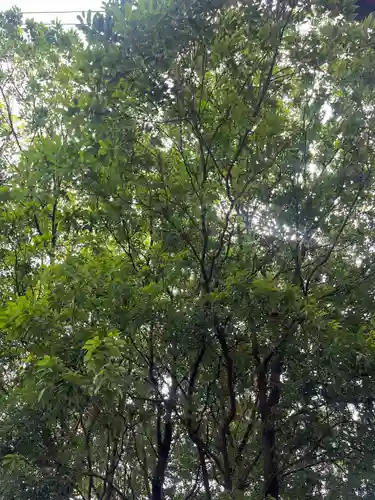 一瓶塚稲荷神社(栃木県)