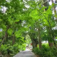 冨賀寺(愛知県)