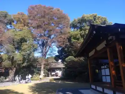 阿佐ヶ谷神明宮のその他建物