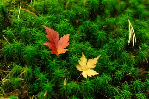 大瀧神社(長野県)