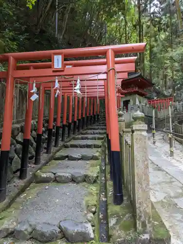 狸谷山不動院の鳥居