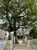 八幡神社の{uncategorized: "未分類", other: "その他", undefined: "問題あり", building: "その他建物", grave: "お墓", sacred_gate: "鳥居", guardian: "狛犬", statue: "像", buddha: "仏像", history: "歴史", nature: "自然", garden: "庭園", animal: "動物", pagoda: "塔", temizu: "手水舎", mountain_gate: "山門・神門", sanctuary: "本殿・本堂", subordinate: "末社・摂社", art: "芸術", scenery: "景色", jizo: "地蔵", ema: "絵馬", goshuin: "御朱印", omikuji: "おみくじ", items: "授与品その他", amulet: "お守り", goshuincho: "御朱印帳", eats: "食事", festival: "お祭り", votive_dance: "神楽", shichigosan: "七五三参", wedding: "結婚式", experience: "体験その他", initially: "初詣", around: "周辺", anti_infection: "感染症対策"}