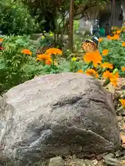 川田八幡神社の自然