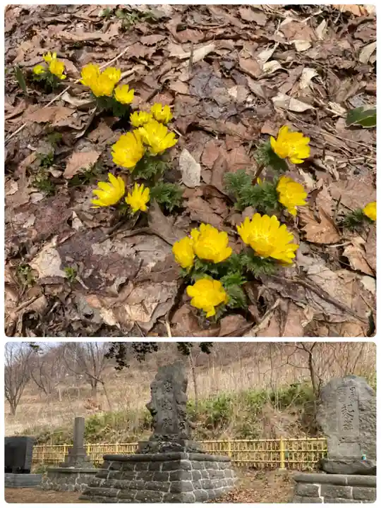 虻田神社の自然