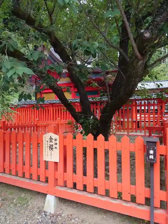 金櫻神社(山梨県)