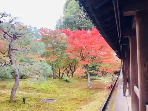 東福禅寺（東福寺）(京都府)